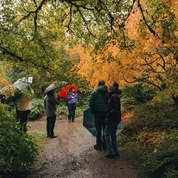 Fall Color Tour