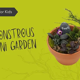 Kids Workshop | Monstrous Mini Garden