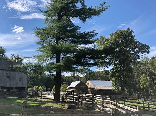 Animals for All: Heckscher Farm Open Evening