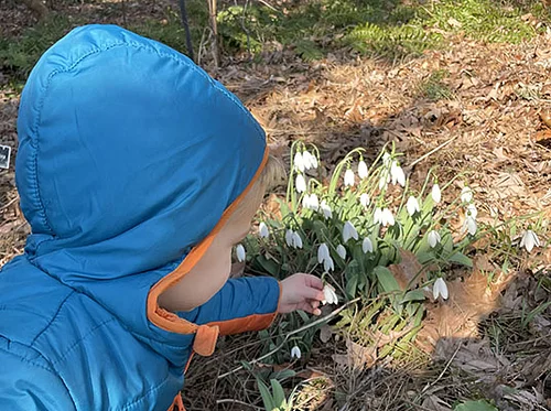 Nature Nook: Winter Session