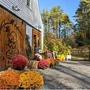 Averill House Vineyard