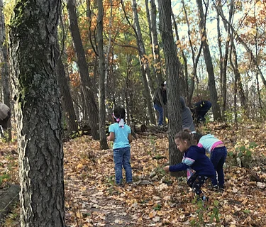Regular Buckthorn Removal Days