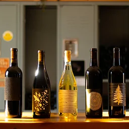 Fall Gratitude! Freewrite In-Person Writing Circle at Dovetail Cellars