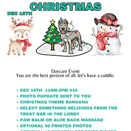 Christmas @ daycare