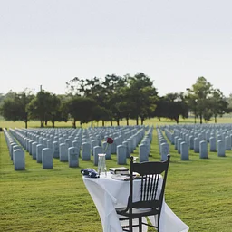 Veteran's Day