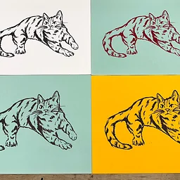 Introduction to Screenprinting on Paper