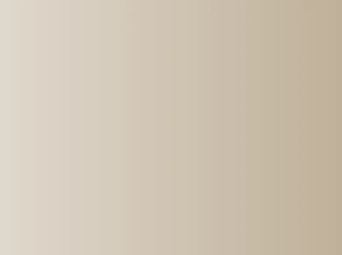 Snapshot Stories with Nicole Hendrick Donovan