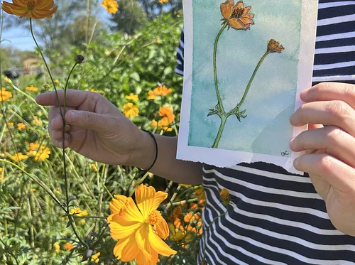 Botanical Illustration Workshop