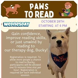 Paws to Read-Meet Bucky the Therapy Dog