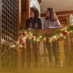 Donor Holiday Preview