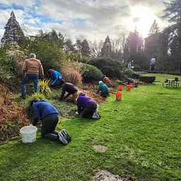 2nd Saturday Work Party