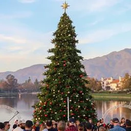 Christmas Tree Lighting