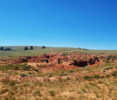 Field Trip: Geology, Gems, and Minerals, Oh My!