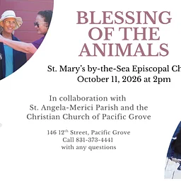Blessing of the Animals at St. Mary's