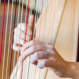 Tapestry Series: Harps and Horns