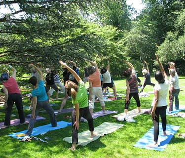 Yoga in the Gardens