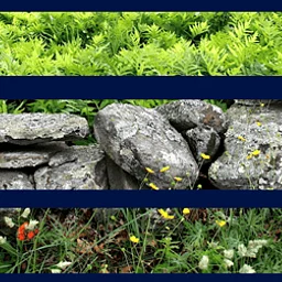 Stone Walls as Drylands: Viewing New England’s Landforms as Habitats with Robert Thorson