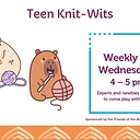Teen Knit-Wits