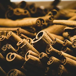 FREE Family Fun on the Frontier: Cinnamon Stick Tree Ornament