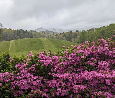 Spring Short Session 2026