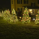 Marshall Plan Tree Walk Lighting Ceremony 2026