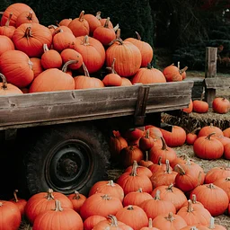 Autumn at the Landing