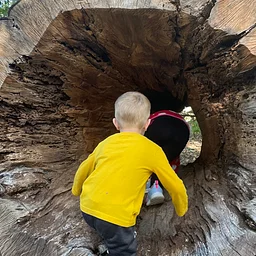Nature Nook Fall Session
