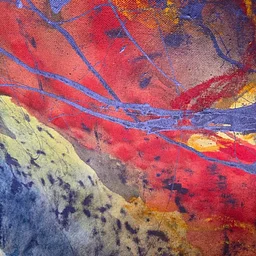 Seeing Color