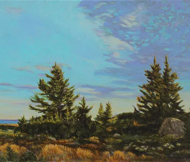 Bradbury Mountain Arts : Welcoming Summer!