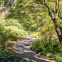 Meditation in the Garden