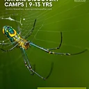Nature Discovery Camps – Bio Brilliance!