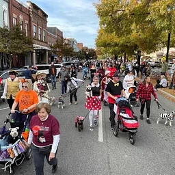 Schnauzerfest 2026