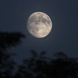 Full Moon Night Hike