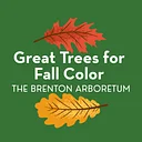 Great Trees for Fall Color
