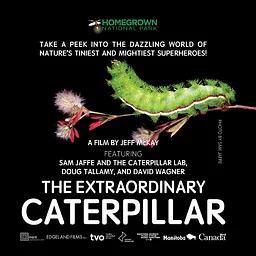 The Extraordinary Caterpillar Screening & Discussion