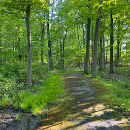 A Companion Driving and Walking Tour of Indigenous Paths of New Sweden by Bob Thomas