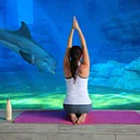 Dolphin Yoga