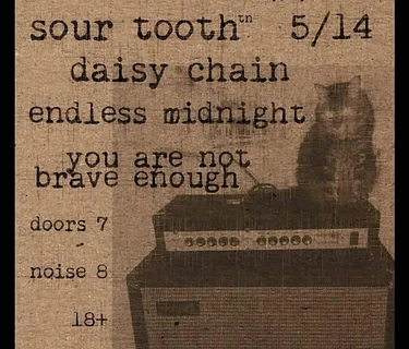 Sour Tooth / Daisy Chain / Endless Midnight / You Are Not Brave Enough