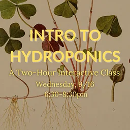 Intro to Hydroponics