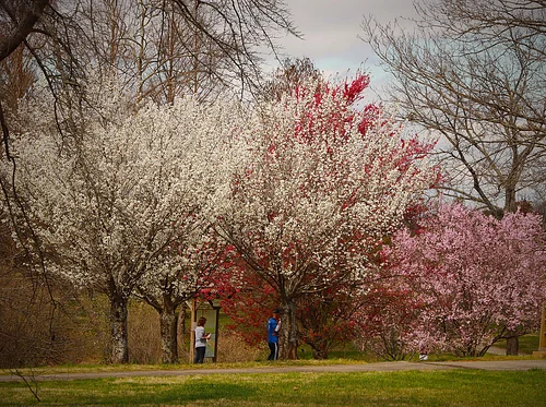 Mid-week Nature Stroll