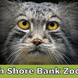 North Shore Bank Zoo Boo